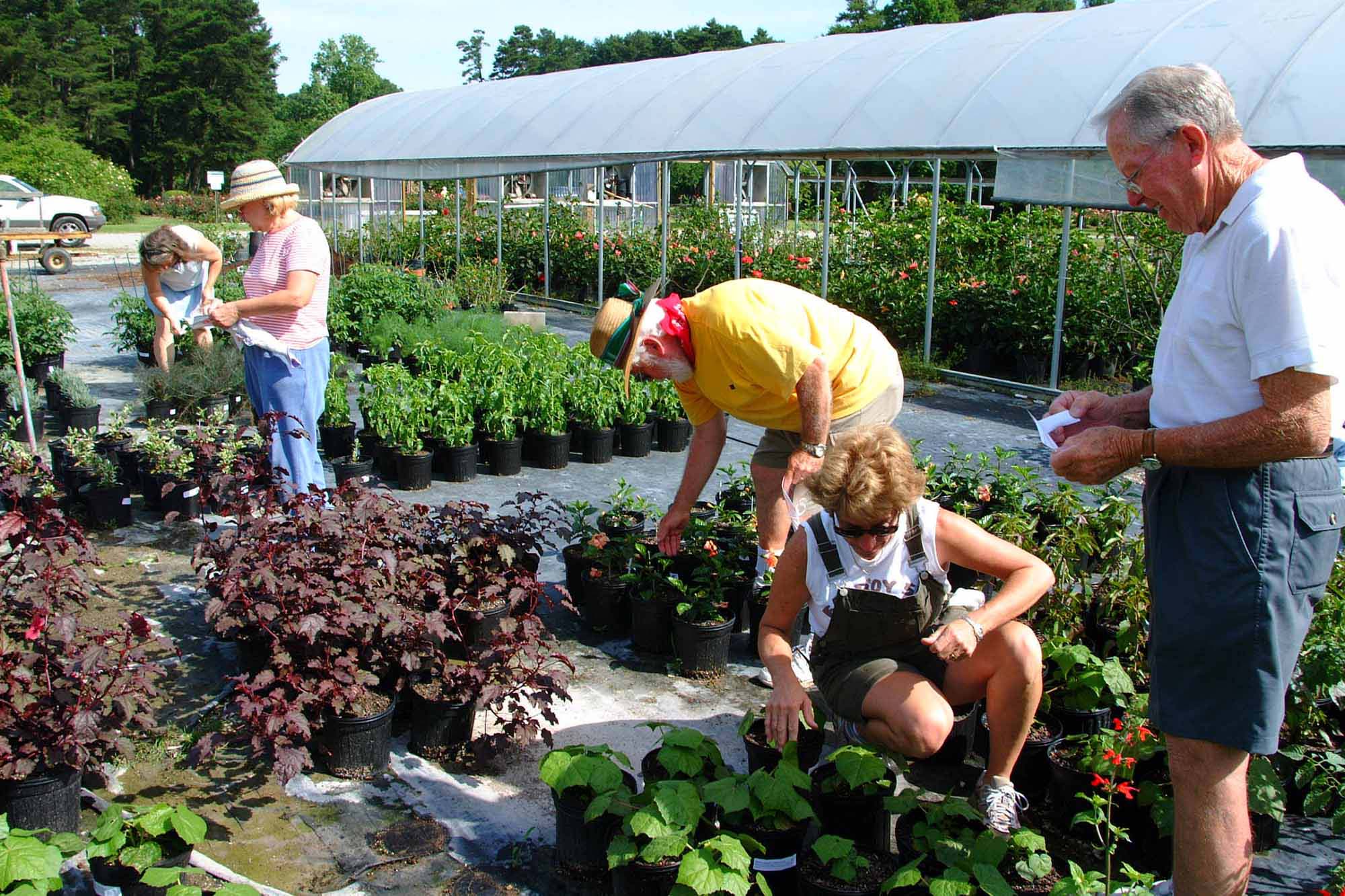 Gardening at Aspen Center